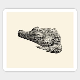 Crocodile Sticker